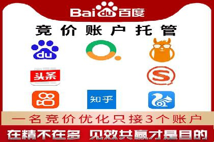 SEM推广实战：成功案例解读与策略调整